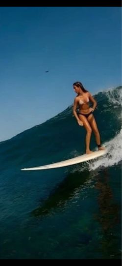 Surfboard longboard Chuck Dent 9.4-9.6 380.00