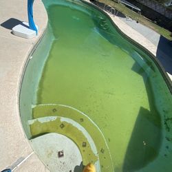 Pool Vacuum 
