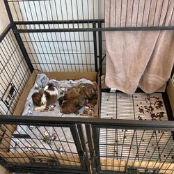 Dog crate