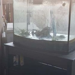 Large Premium Fish Tank $60 OBO