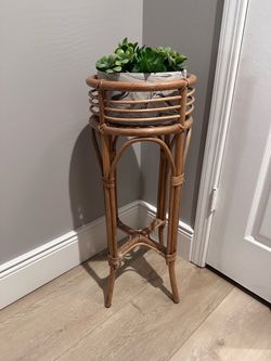Rattan plant stand with removable succulent