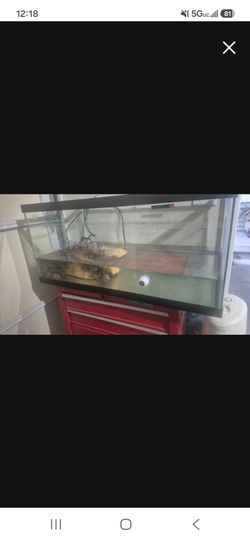 Fish tank 50g