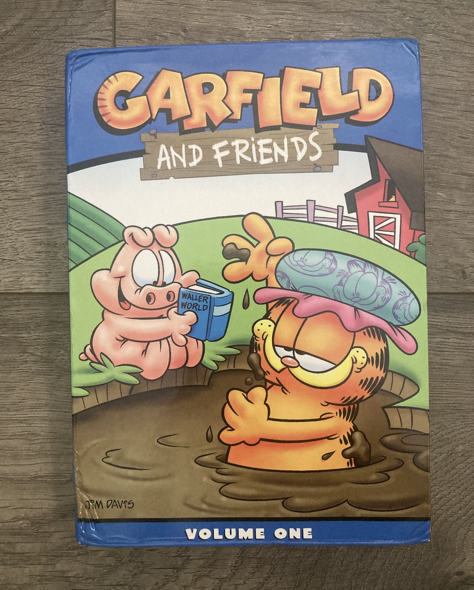 Garfield and Friends Volume 1 One DVD, 2004 3-Disc Set Complete Y2K Cartoon