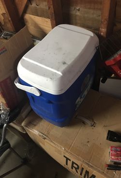 Igloo Cooler