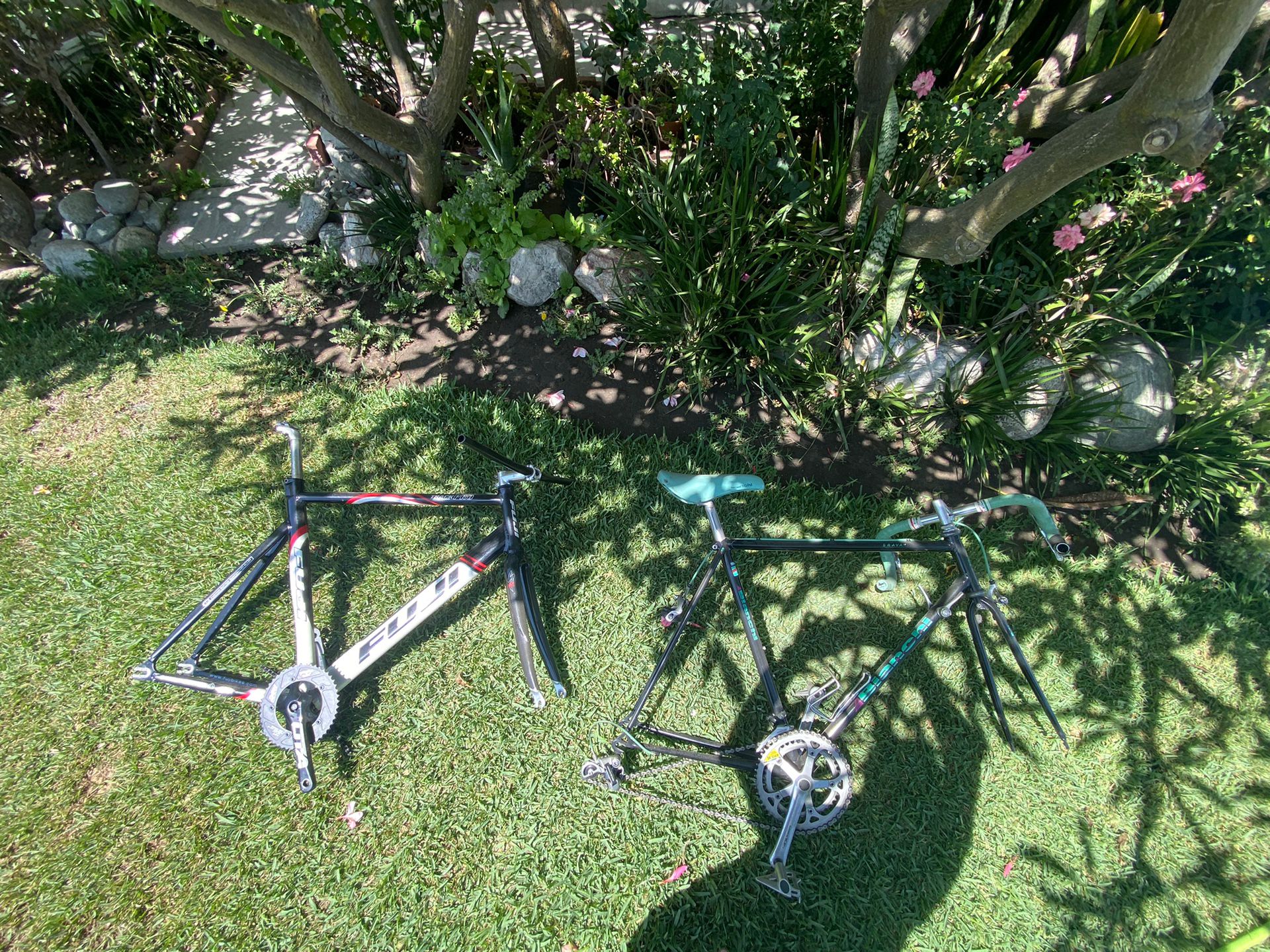 Bianchi Road Bike Fuji Track Pro