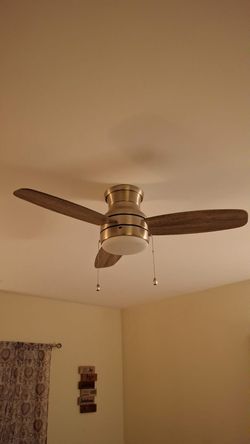 Ceiling Fans With Light