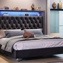 Queen Size Bedframe New