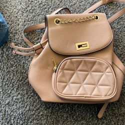 Rose Gold Backpack 