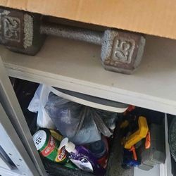 25lb Dumbell And 30lb Dumbell
