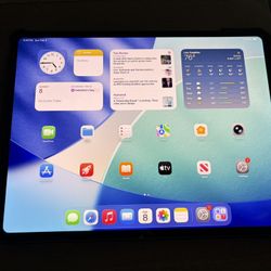 Apple iPad Pro 13” M4 512gb WiFi Plus Cellular 