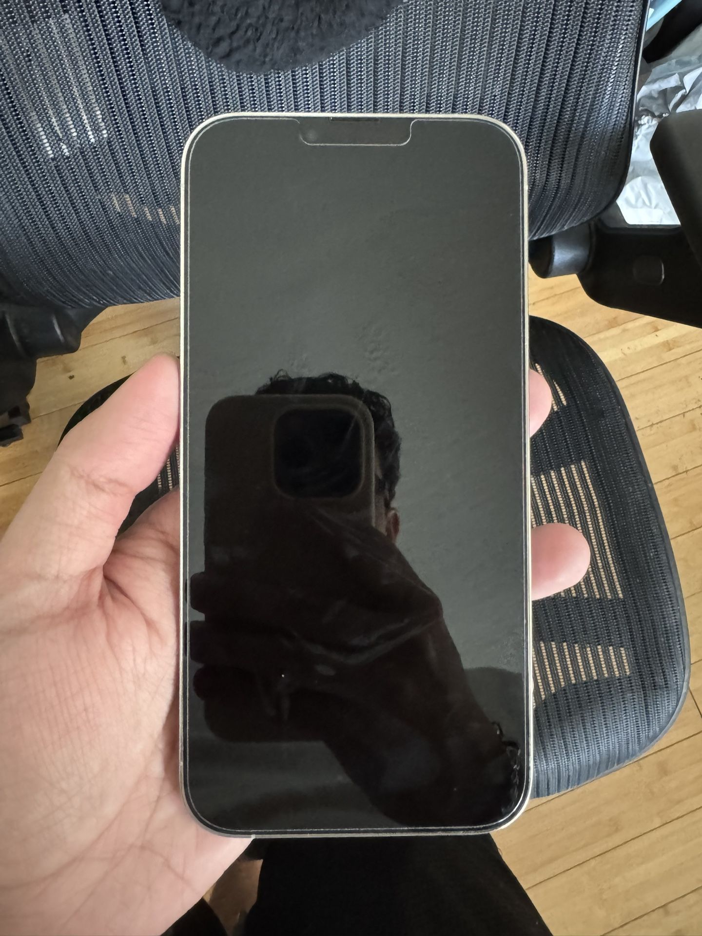 iPhone 13 Pro Max 256gb