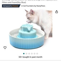 Water Bowl For Cats