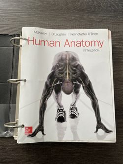Human Anatomy 5th Edition 