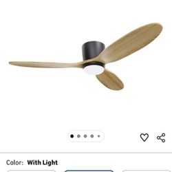 Ceiling Fan With Light