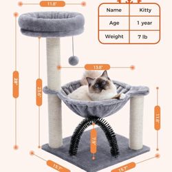 Cat Tree