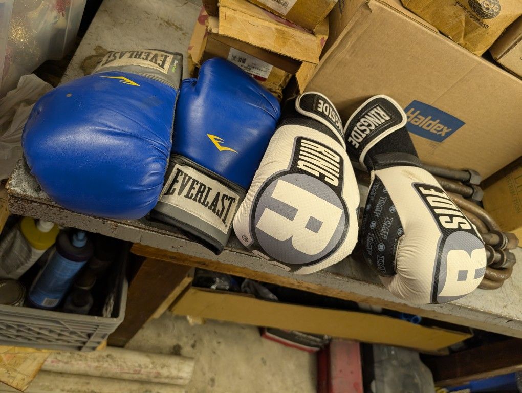 Punching Bag With 2- Pairs Of Gloves