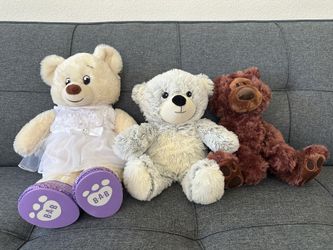Bear stuffed animal bundle: Warmies Bear and Build a Bear