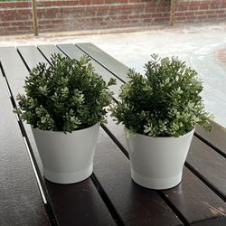 IKEA fake plants 