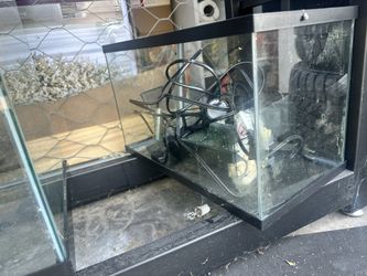 10 Gallon Tank With Supplies