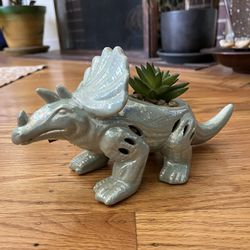 Dinosaur Succulent Plant Pot / Fragrance Emitter