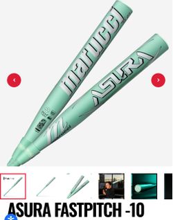 Fast pitch bat