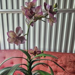 Vintage Purple Orchid Flower Arrangement 