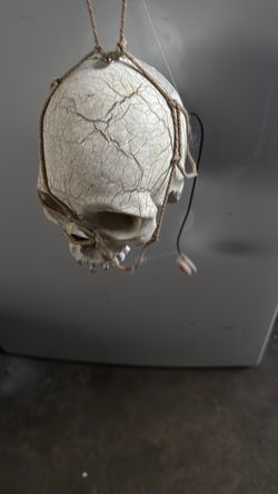 Hanging Decorative Skull Halloween Prop