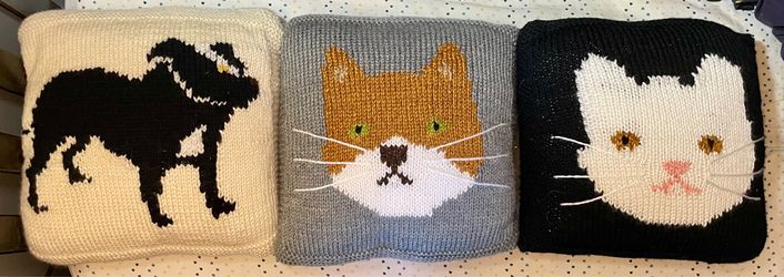 3 Dog and Cat Throw Pillows