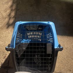 large crate 