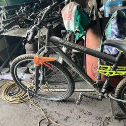 29 Mountain Bike