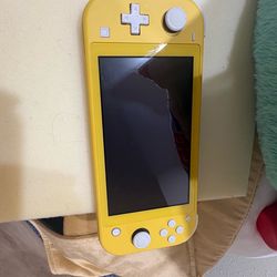 Nintendo switch lite