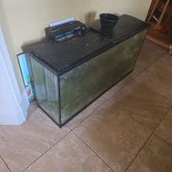 75 Gallon Tank No Stand 