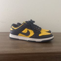 Dunk Low Michigan 2021