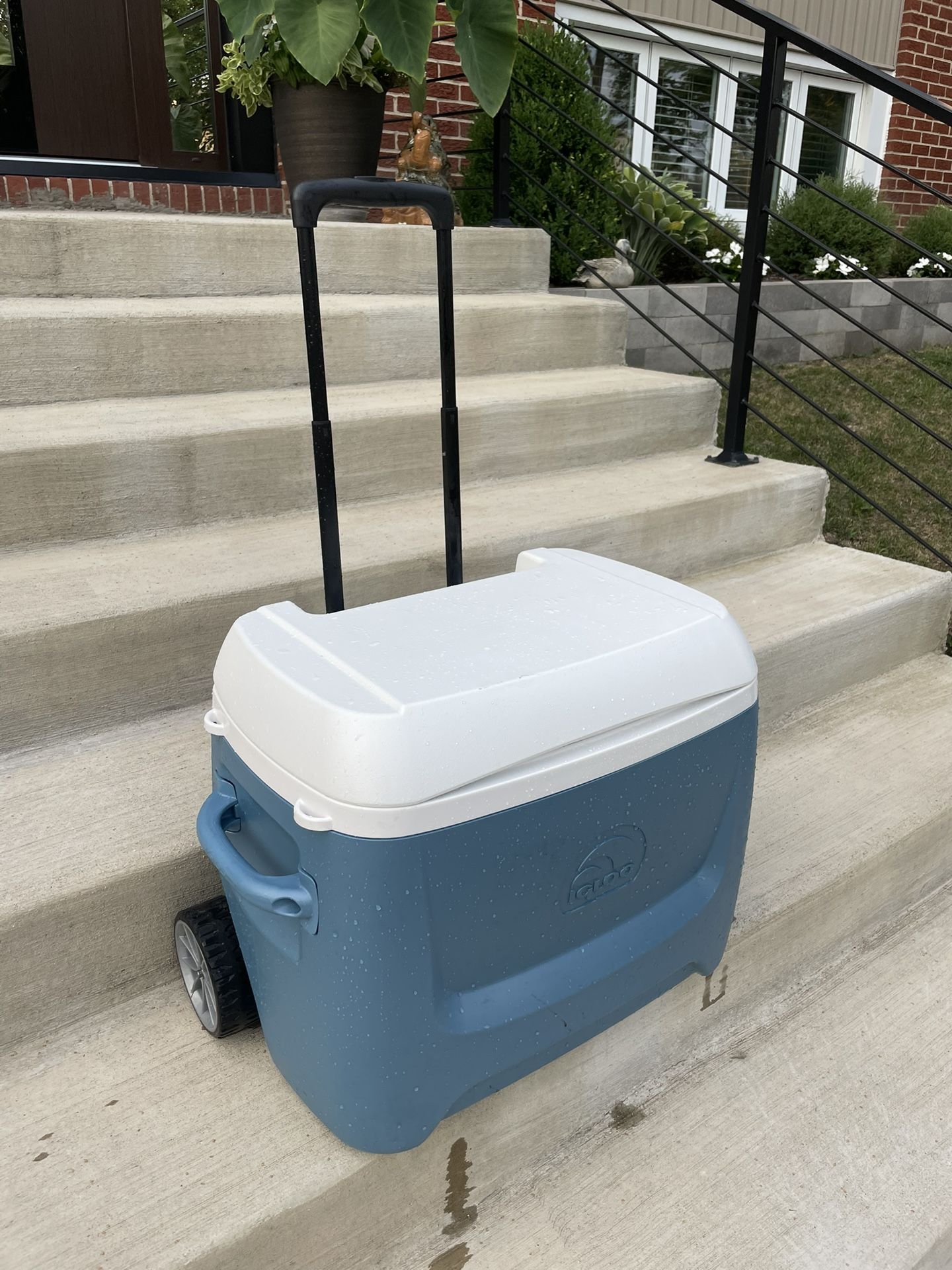 Large Igloo Maxcold Island Breeze Wheeled Cooler - 62 Quart