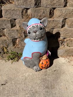 2.5 ft Gray Frenchie in Shark Costume