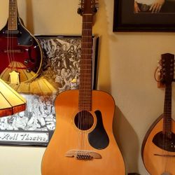 12 STRING GUITAR 