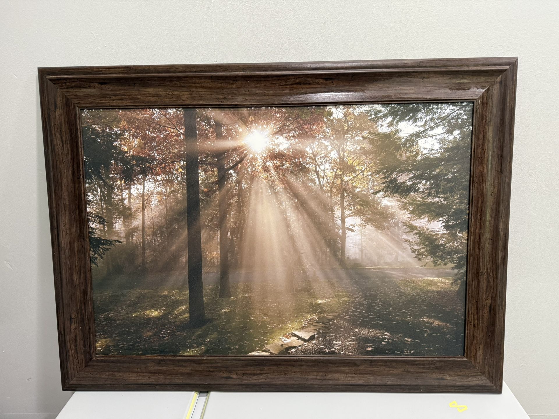Large Framed Wall Art – Forest Scene with Sun Rays