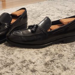 Dress Shoes TOD'S 