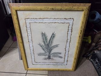 Picture/Decor Wall Frame 23inX19in $5