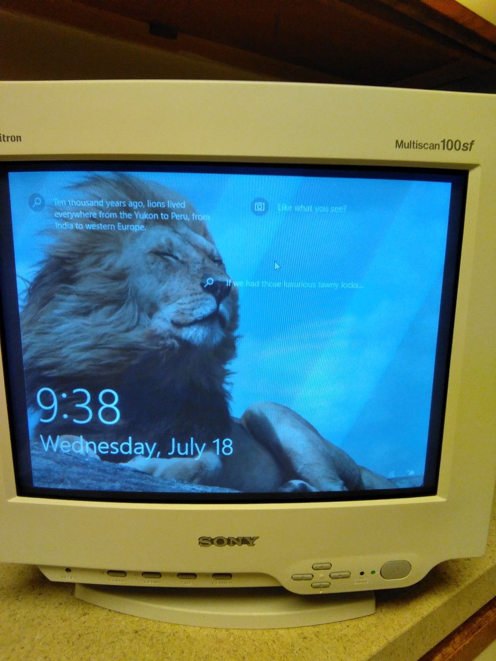Sony Multiscan 100sf CPD-100SF Monitor