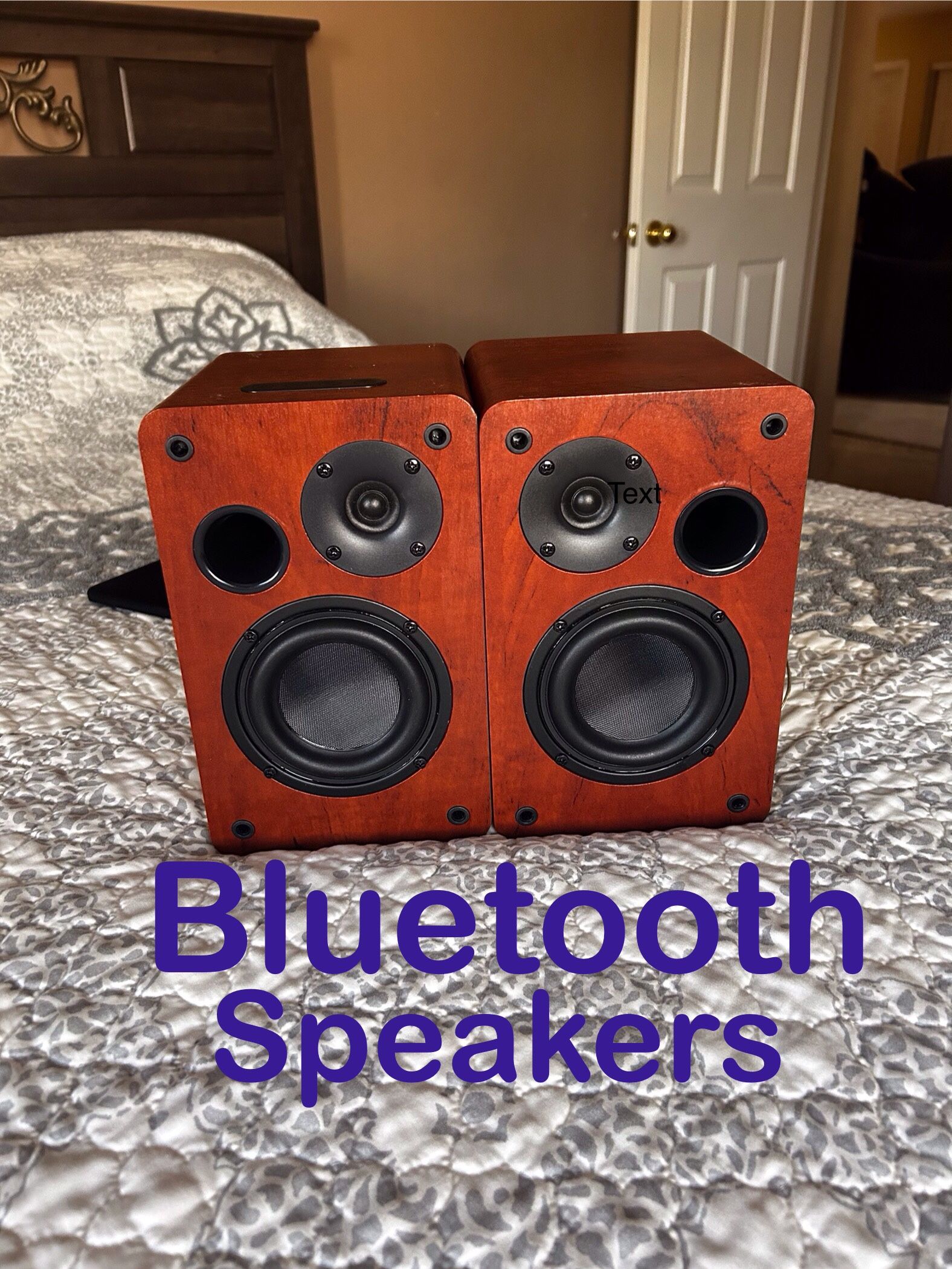 Bluetooth Bookshelf Speakers