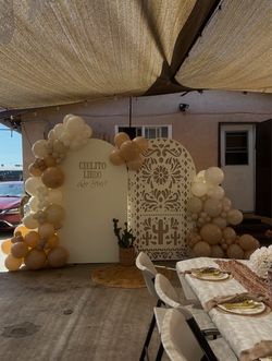 Balloons & backdrops