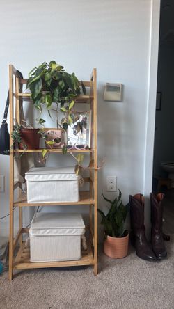 Small shelf