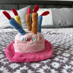 Pet Bday Hat 