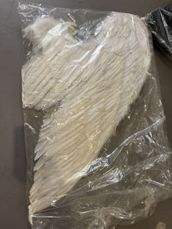 Beautiful feather angel wings for Photography Boudoir