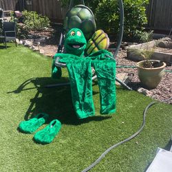Turtle Costume 