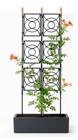 Trellis for Climbing Plants Outdoor,