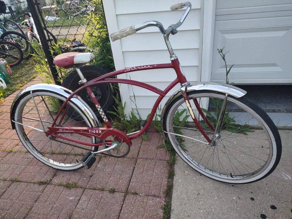 Schwinn Tiger