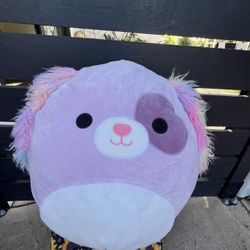 Squishmallow Barb- Medium Sz