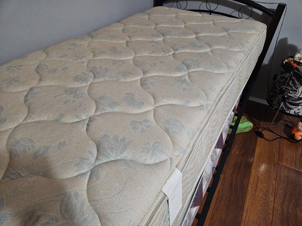 Twin Bed, New Mattress, Box Spring And Headboard